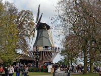 DSC 7623 Keukenhof