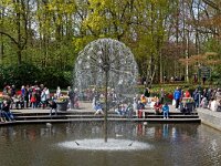 DSC 7630 Keukenhof