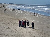 DSC 7836 Scheveningen