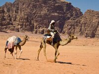 DSC 1697 WadiRum