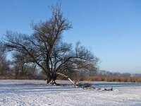 Landschaften